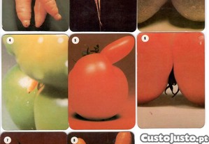 Coleo completa e numerada de 8 calendrios 1992