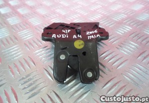 imagem_5