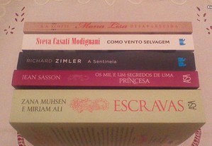 imagem_8