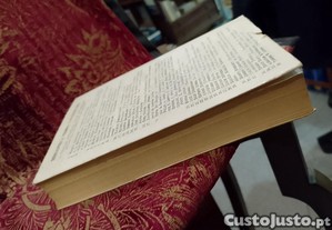 imagem_8