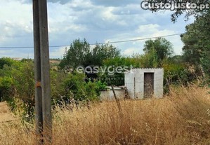 imagem_24