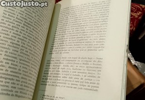 imagem_13