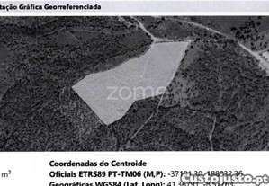 Terreno Com 26.000 M2 Em Ribeirão Vila Nova De...