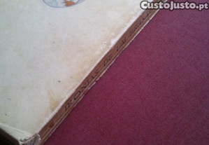 imagem_3