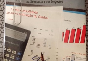 Guia dos Números - a interpretação dos números na economia e nos negócios