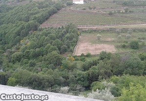 imagem_8
