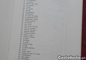 imagem_10