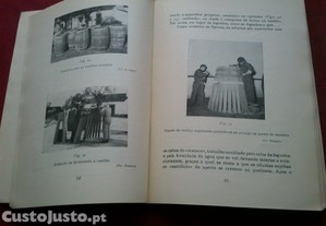 imagem_4