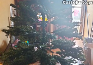 Árvore de Natal
