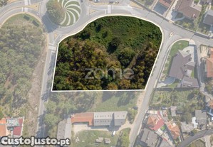 Terreno Urbanizável Com 6968 M², Em Oliveira De...