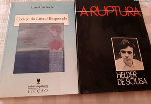 Obras de Luis Carmelo e Hélder de Sousa
