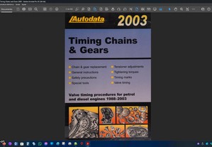 Timing Chains & Gears
