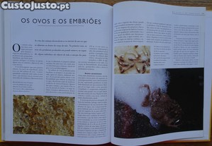 imagem_7