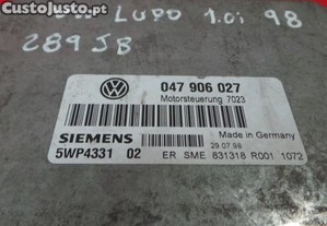 imagem_3