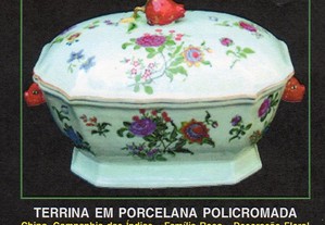 imagem_6