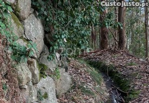 Terreno Rustico Com 4500 M2 - Outeirinho - Cerva