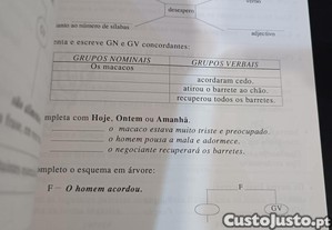 imagem_7