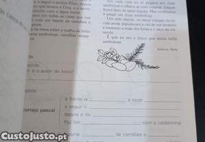 imagem_7