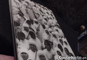 imagem_8