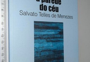 A PAREDE DO CÉU - Salvato Telles Menezes