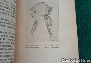 imagem_7