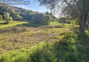 Terreno em Loulé (São Clemente)