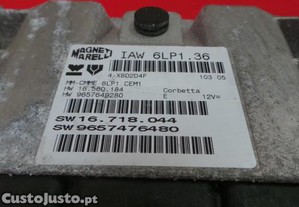 imagem_3