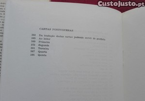 imagem_13