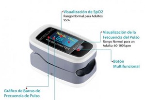 imagem_6