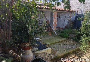 imagem_17