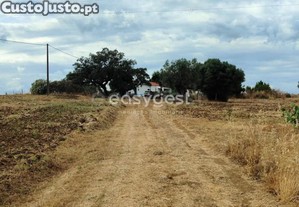 imagem_25
