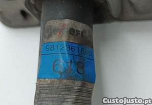 imagem_3
