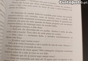 imagem_5