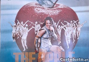 imagem_1