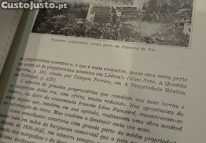 imagem_12