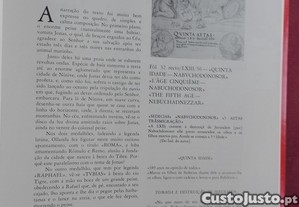 imagem_7