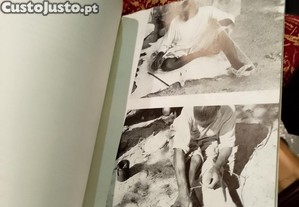 imagem_12