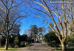 imagem_12