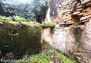 imagem_10