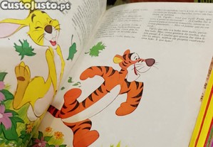 imagem_13