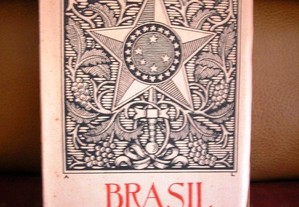 imagem_2
