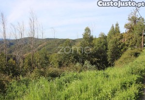 Terreno Rústico Com 5.400 M² - Pontalinhos,...