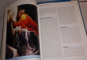imagem_6