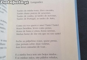 imagem_6