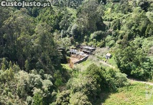 Loja / Estabelecimento Comercial T5 em Santo António da Serra de 1370,00 m²
