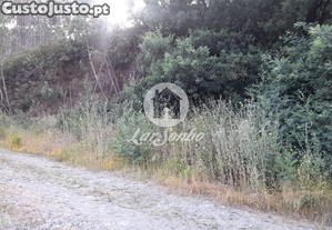 imagem_25