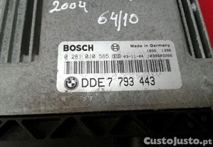 imagem_2