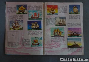 imagem_4