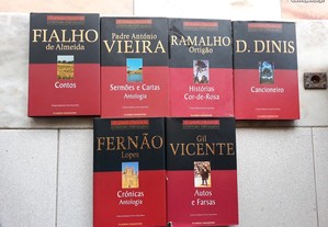 imagem_2