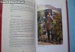imagem_6